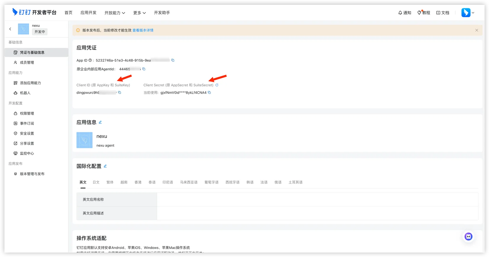 Copy Client ID and Client Secret
